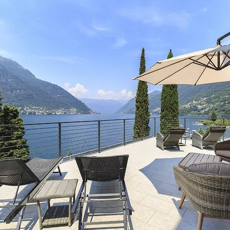 Felicity By My Collection *